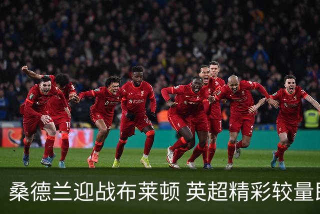 桑德兰迎战布莱顿 英超精彩较量即将上演
